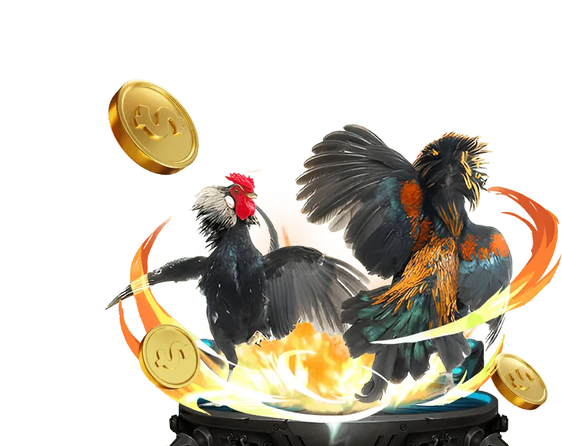 Cá cược Thể Thao s777 win